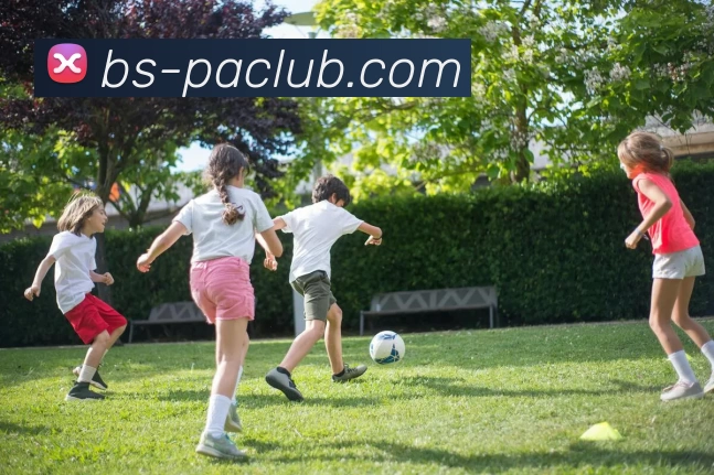 PA体育模拟器发展历程