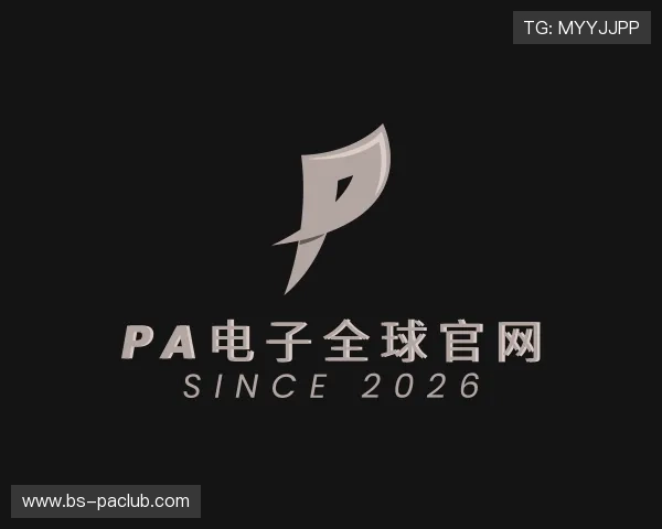 解读PA电子全球官网